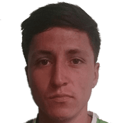 Daniel Montoya fm21