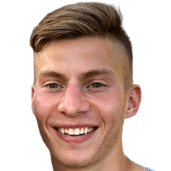 David Greczek Fm 21 Profile Reviews