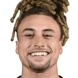 Dallas Aminzadeh fm21