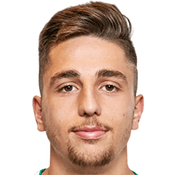 Dalibor Velimirovic fm21