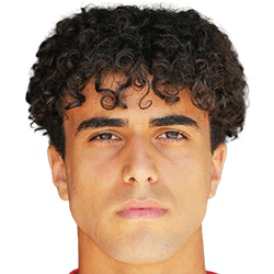 Denizcan Cosgun fm21