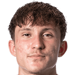 Alessandro Paunescu fm21