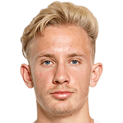 Niklas Streimelweger fm21