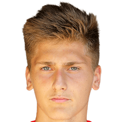 Sandro-Luca Molnar fm21