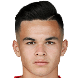 Benedikt Erhard fm21