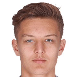 Nicolas Alavoine fm21