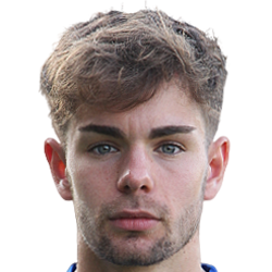 Dries Hulsmans fm21