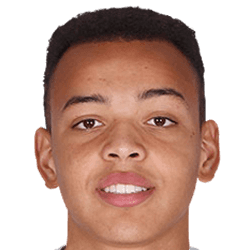 Mathieu Stroeykens fm21