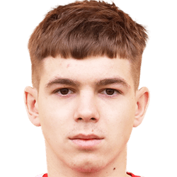 Evgeniy Guletskiy fm21