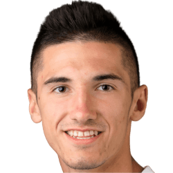 Elvir Ibisevic FM 2021