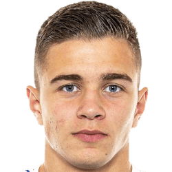 Faris Zubanovic fm 2021