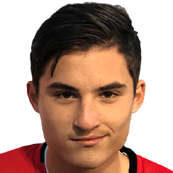 Alen Karahasanovic fm21