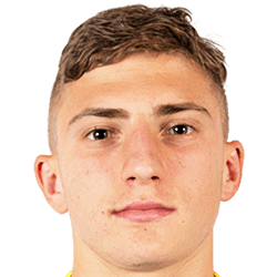 Dragan Matkovic fm21