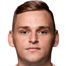 Edin Ibrisimovic fm21