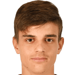 Luka Skaricic fm 2021