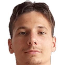 Dinko Matosevic fm21