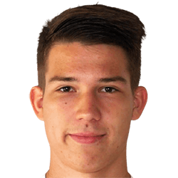 Simon Vyhlid fm21