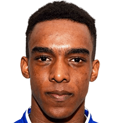 Craig Fasanmade fm21