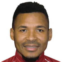 Miguel Goncalves fm21