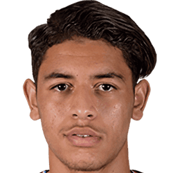 Yanis Fetheddine fm21