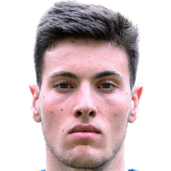 Radomir Novakovic fm21