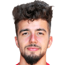 Dominik Pelivan fm21