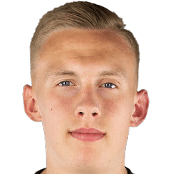 Björn Nikolajewski fm21