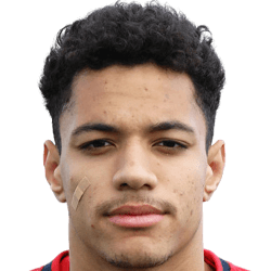 Gianluigi Sueva fm21