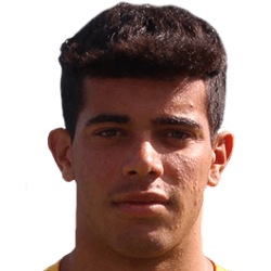 Vincenzo Cozzella fm21