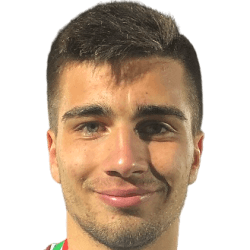 Luca Petrungaro fm21