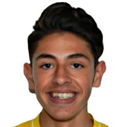 Vincenzo Piazzoni fm21