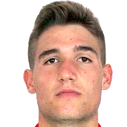 Michele Voltan fm21