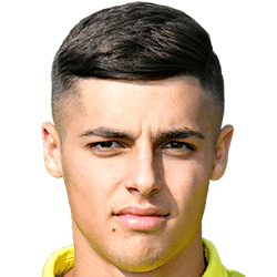 Luca Vertua fm21