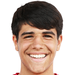 Francesco Di Piedi fm21