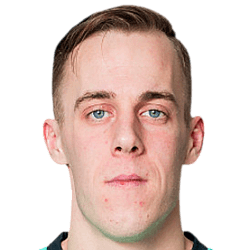 Deividas Mikelionis fm21