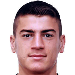 Dzemal Ibishi fm 2021