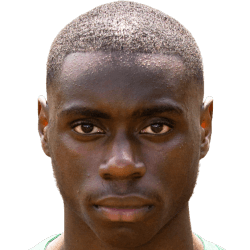 Dehninio Muringen fm21