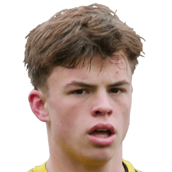 Thijme Verheijen fm21