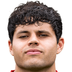 Tobias Kleijweg fm21