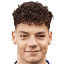 Quinten van den Heerik fm21