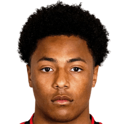 Dillon Hoogewerf fm21
