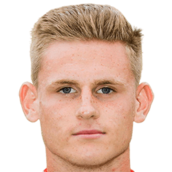 Darwin Heuvelman fm21