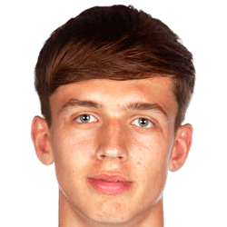 Cris van der Zee fm21