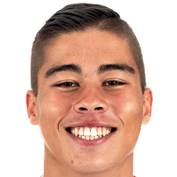 Dylan Veenvliet fm21