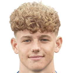 Jesse Vermaning fm21