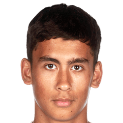 Roan van der Plaat fm21