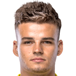 Damian Slesicki fm21
