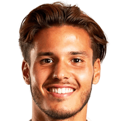 Miguel Reisinho fm21