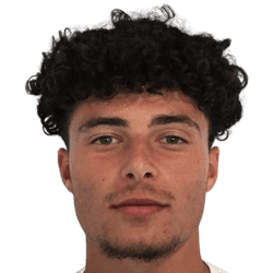 Rodrigo Domingues fm21