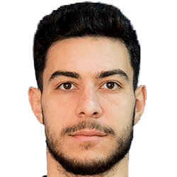 Gabriel Nedelea fm21